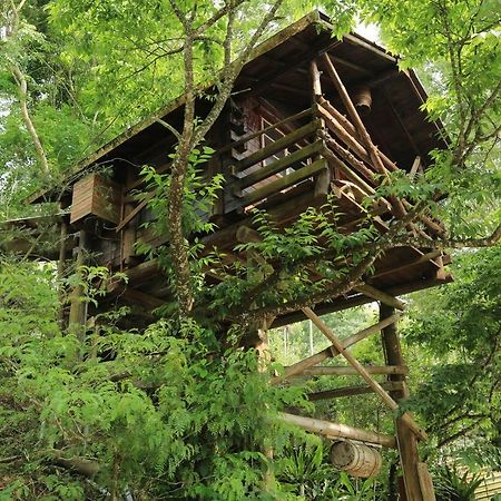Lai Home Country Cottage B&B Meishan 외부 사진