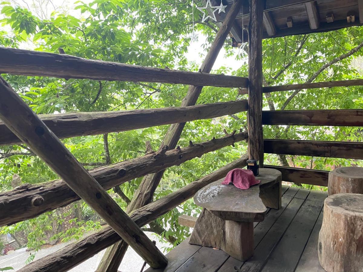 Lai Home Country Cottage B&B Meishan 외부 사진