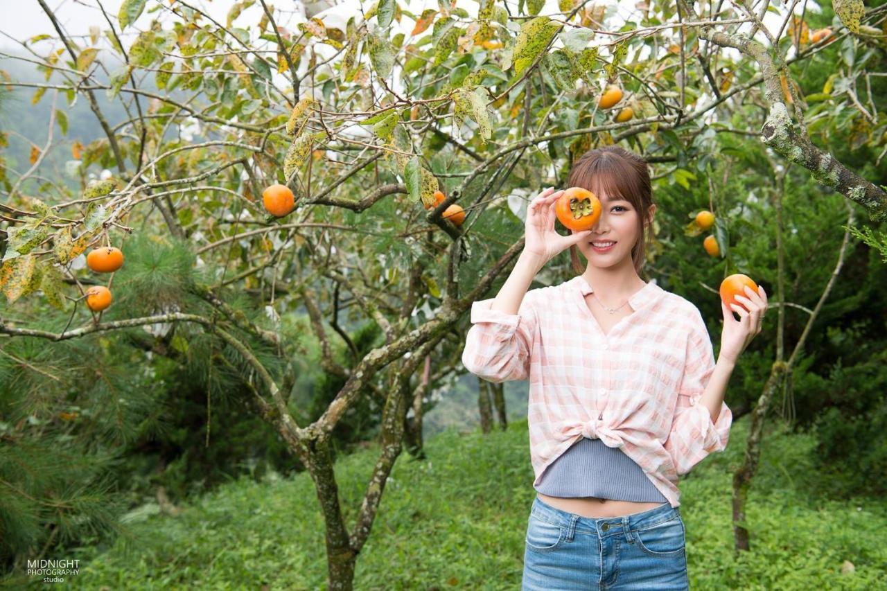 Lai Home Country Cottage B&B Meishan 외부 사진